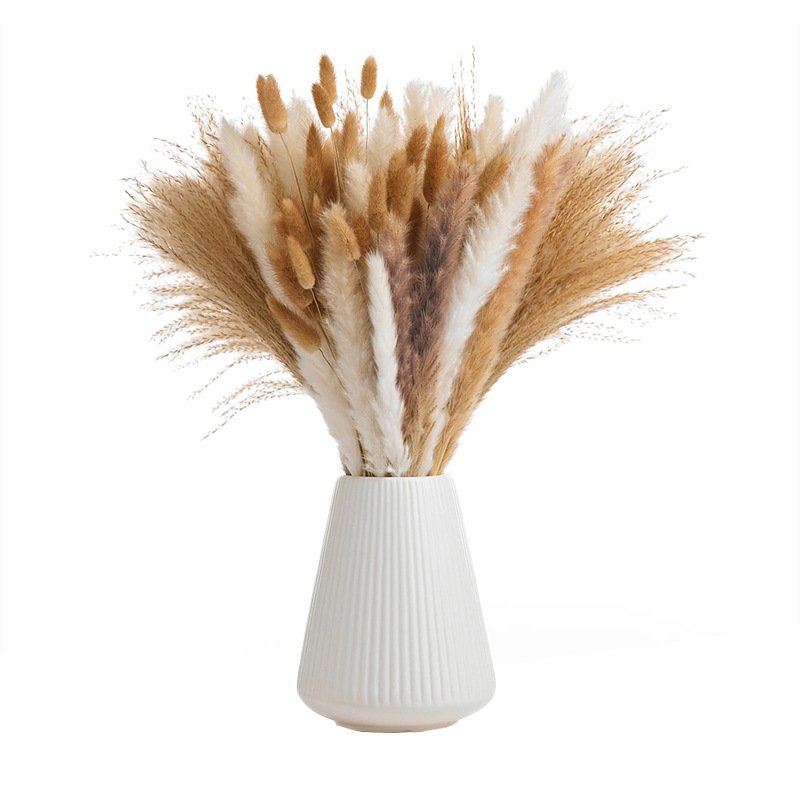 Natural Flower Reed Grass Flower Arrangement Dried Flowers Plant Bouquet Decoration