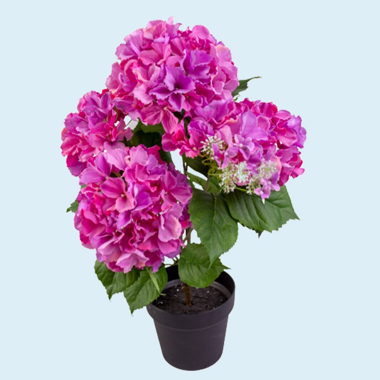 New design dried flowers bouquet gift for Festival decorations with green leaf and blue flowers