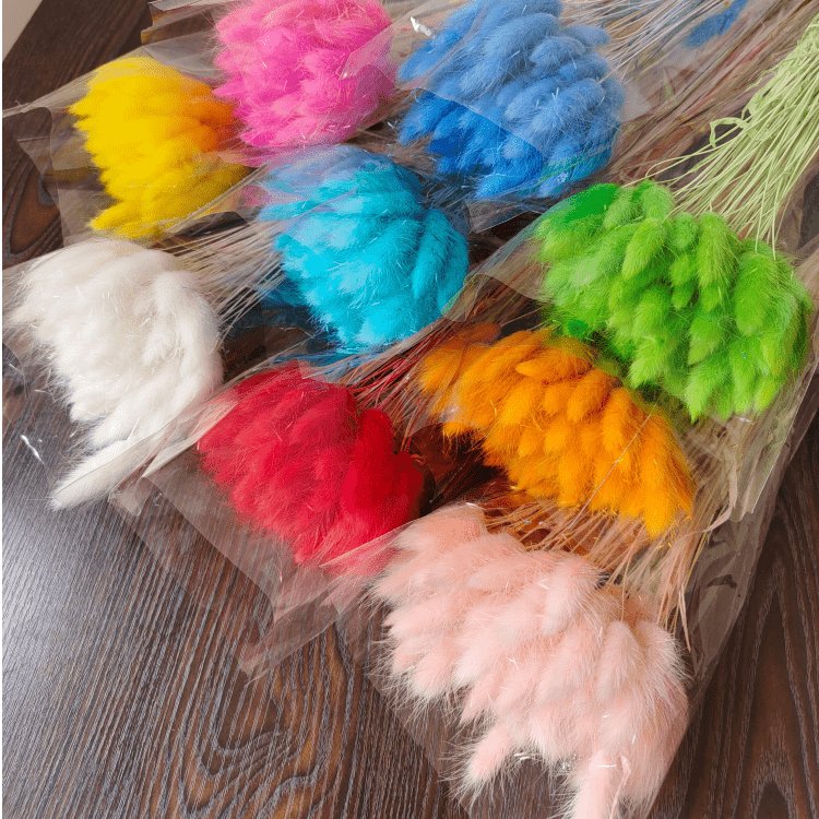 One bundle of 55 stems Dried bunny tails Home decoration Dried flower bouquet Dried Lagurus Ovatus plants flower