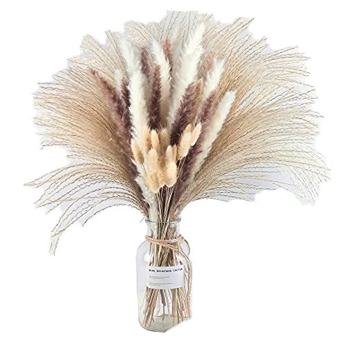 Dried Flowers Wedding Decor Large Plume Dry Pampas Grass Flower Decor Natural Real Preserved Dried Pampas Grass For Decor