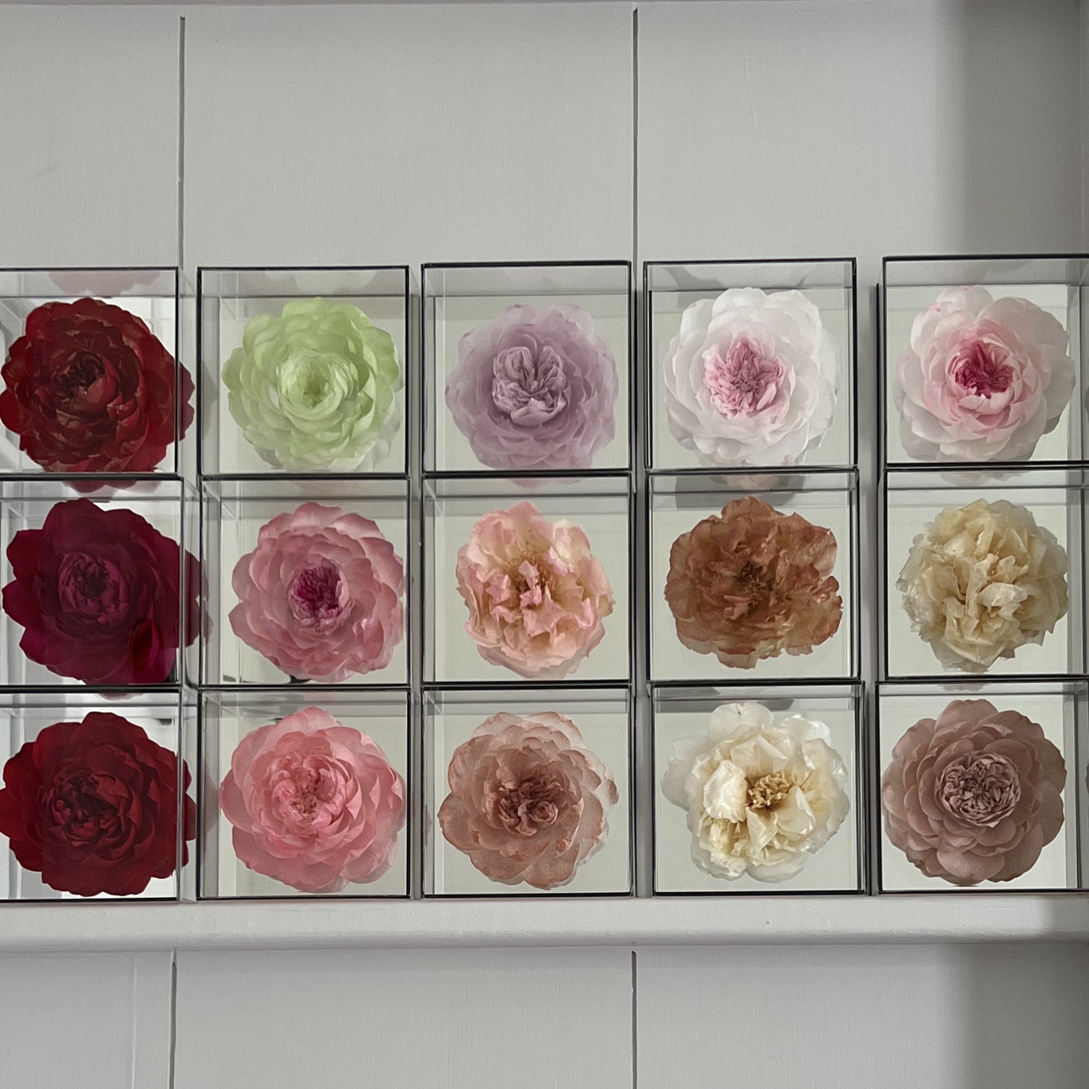Classic Small Square Box Single Peony Camellia Flower Mirror Face Dried Flower Gift Box for Mother's Day Valentine's Day