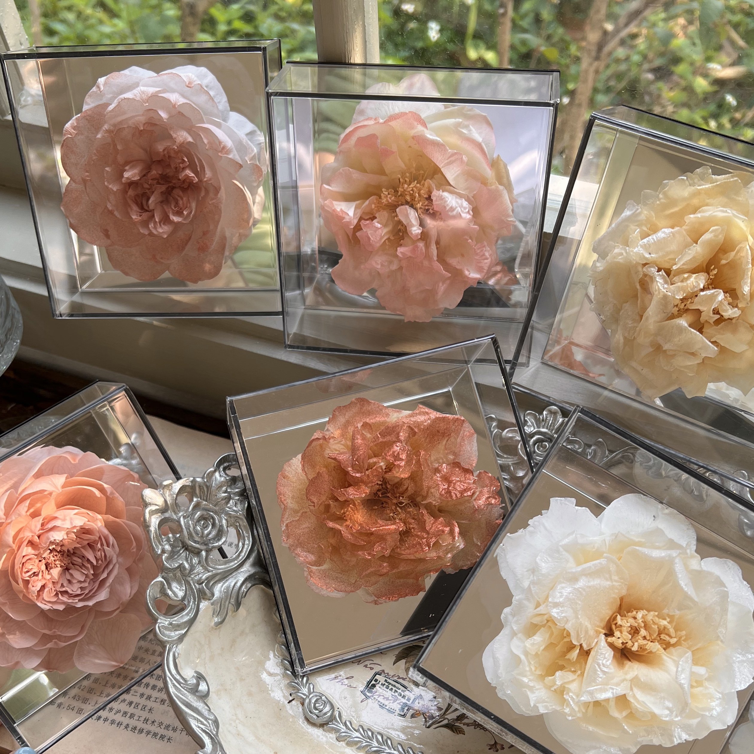 Classic Small Square Box Single Peony Camellia Flower Mirror Face Dried Flower Gift Box for Mother's Day Valentine's Day