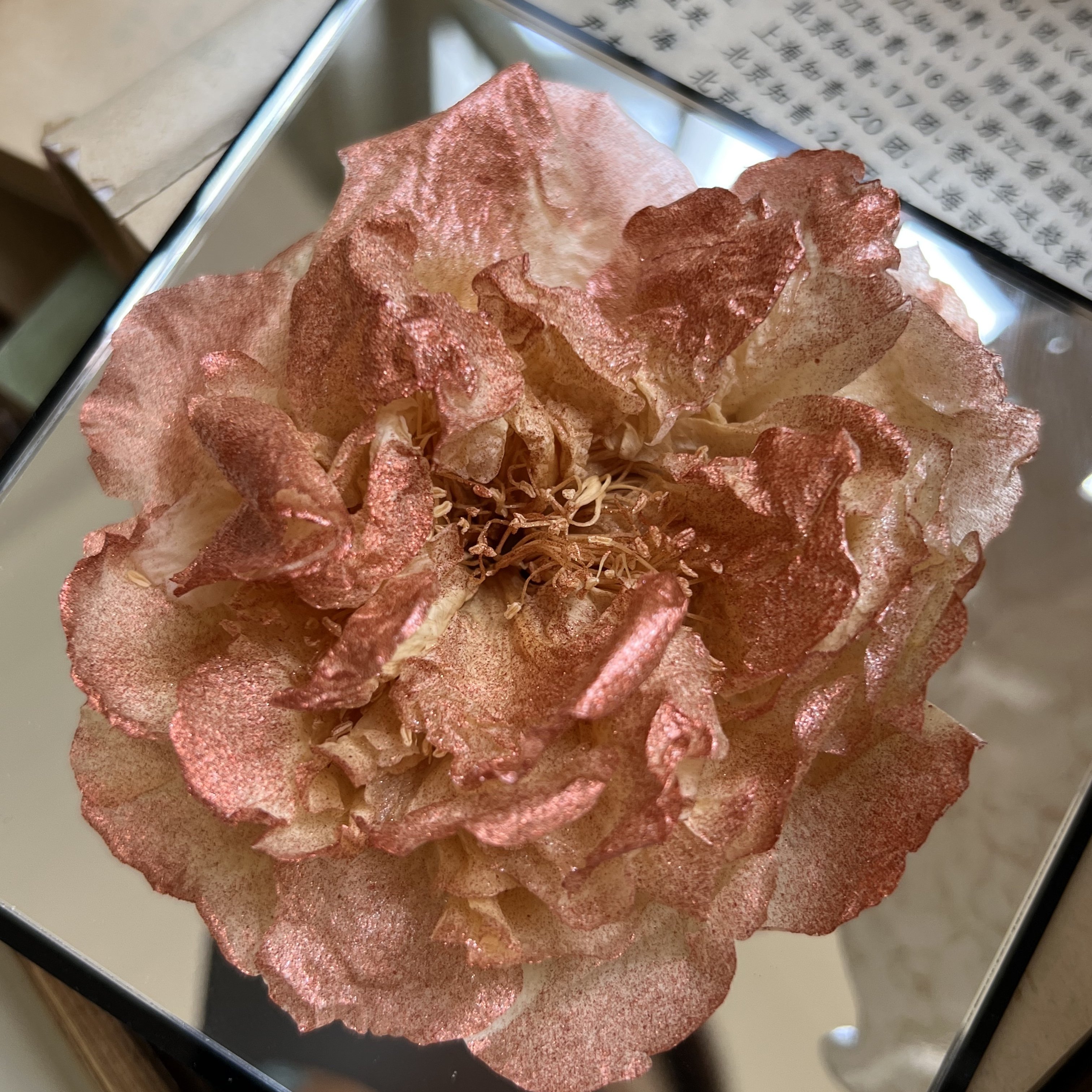 Classic Small Square Box Single Peony Camellia Flower Mirror Face Dried Flower Gift Box for Mother's Day Valentine's Day