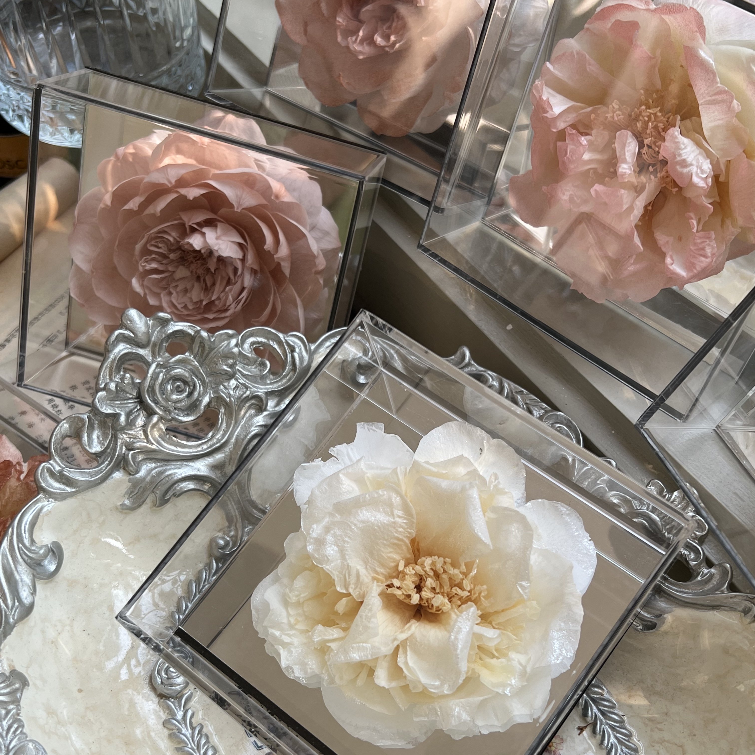 Classic Small Square Box Single Peony Camellia Flower Mirror Face Dried Flower Gift Box for Mother's Day Valentine's Day