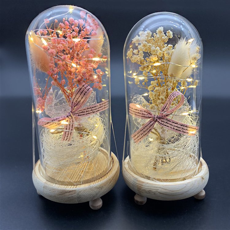 Christmas Valentine Gift Real Gypsophila Dried Flowers With Led Light Natural Permanent Preservation Glass Dome