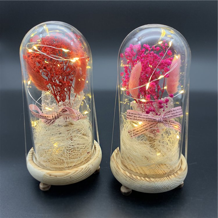 Christmas Valentine Gift Real Gypsophila Dried Flowers With Led Light Natural Permanent Preservation Glass Dome