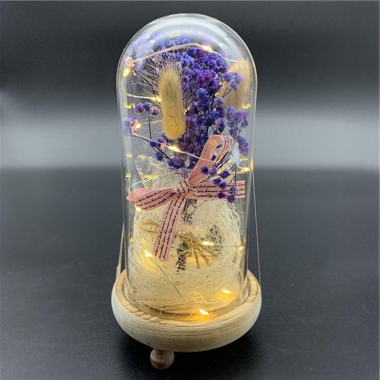 Christmas Valentine Gift Real Gypsophila Dried Flowers With Led Light Natural Permanent Preservation Glass Dome