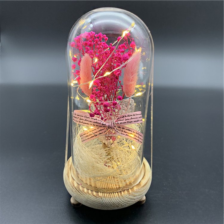 Christmas Valentine Gift Real Gypsophila Dried Flowers With Led Light Natural Permanent Preservation Glass Dome