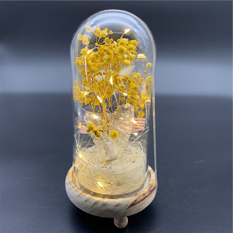Christmas Valentine Gift Real Gypsophila Dried Flowers With Led Light Natural Permanent Preservation Glass Dome