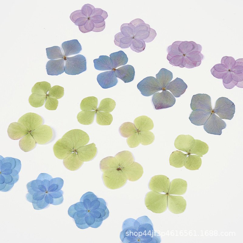 Hydrangea hot selling dried flower decorative for home wedding decoration