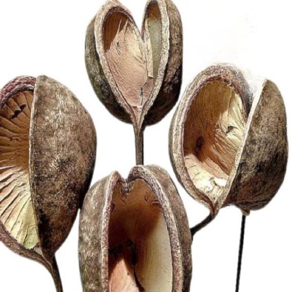 High Quality Artificial Buddha Nut Dried Flower For Home Decor Weeding Birthday Decoration