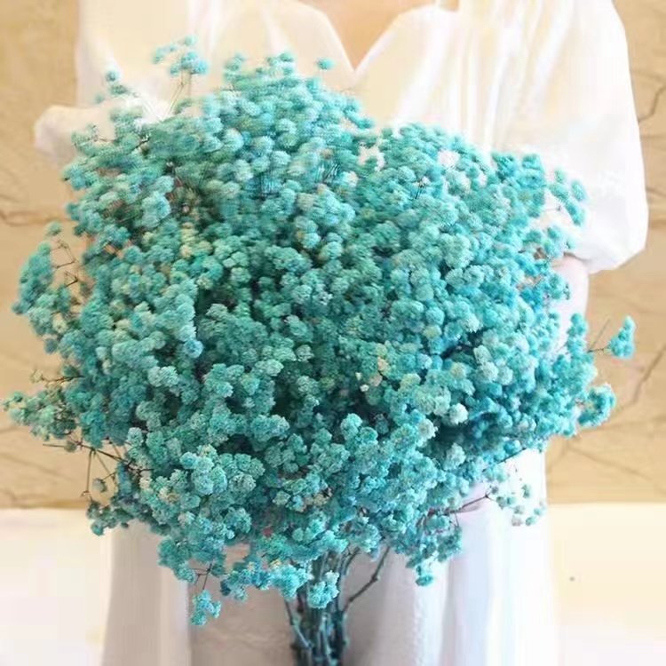 Decorative Dried Flowers Wholesale Gypsophila Bouquet Nature Preserved Flower Babysbreath Gypsophila Flower For Home Decoration