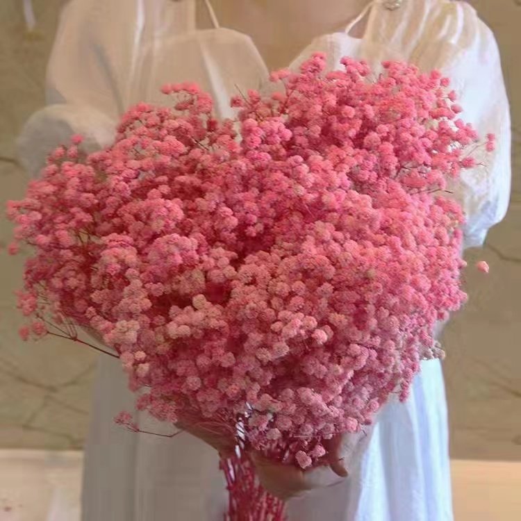 Decorative Dried Flowers Wholesale Gypsophila Bouquet Nature Preserved Flower Babysbreath Gypsophila Flower For Home Decoration