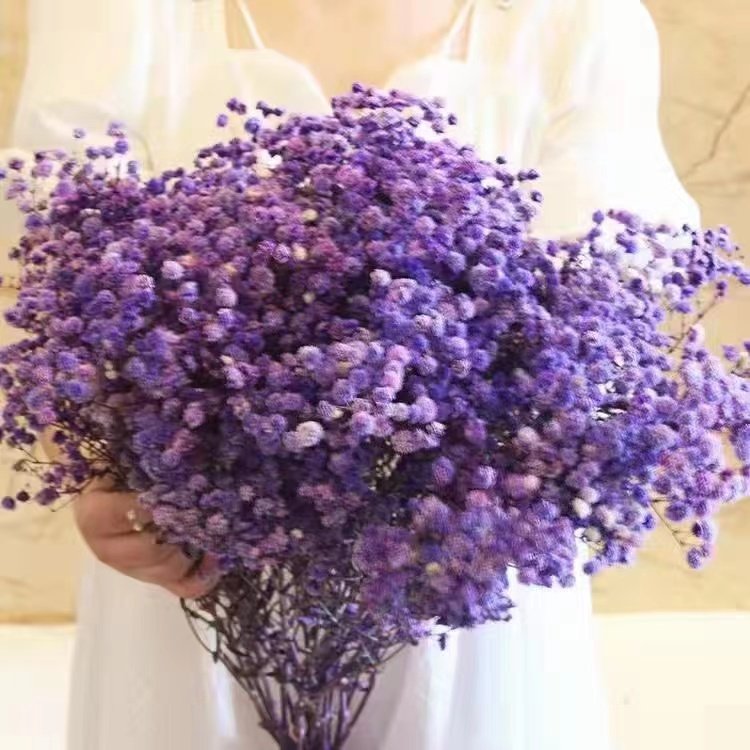 Decorative Dried Flowers Wholesale Gypsophila Bouquet Nature Preserved Flower Babysbreath Gypsophila Flower For Home Decoration