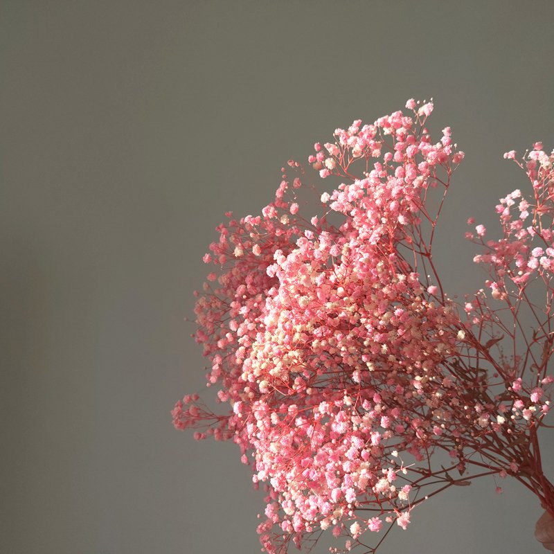 Decorative Dried Flowers Wholesale Gypsophila Bouquet Nature Preserved Flower Babysbreath Gypsophila Flower For Home Decoration