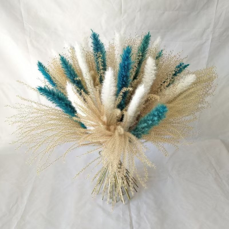 M -2 Wild Reed small pampas rabbit tail grass pampas grass dried flower bouquet suit natural dried flower home decoration