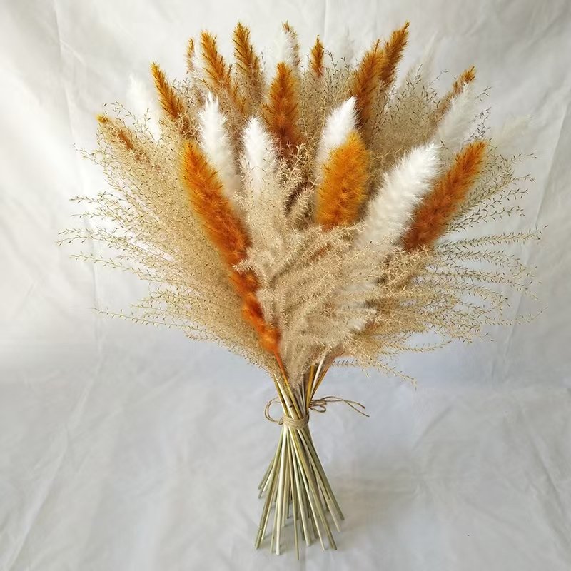 M -2 Wild Reed small pampas rabbit tail grass pampas grass dried flower bouquet suit natural dried flower home decoration