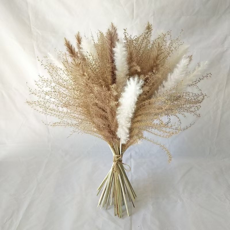 M -2 Wild Reed small pampas rabbit tail grass pampas grass dried flower bouquet suit natural dried flower home decoration