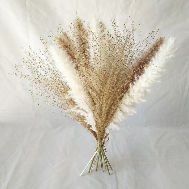 M -2 Wild Reed small pampas rabbit tail grass pampas grass dried flower bouquet suit natural dried flower home decoration