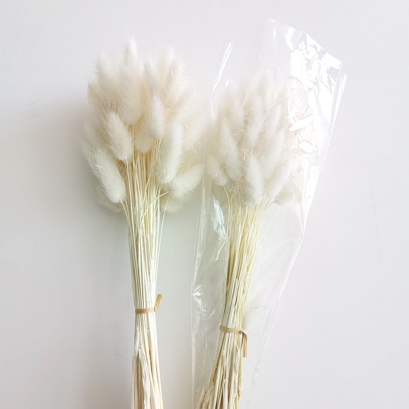 Dried Bunny Tails Natural Lagurus Ovatus Lamb Tails Home Wedding Decor Pampas Grass Dry Flowers Bunny Tails Grass