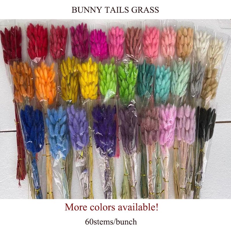 Dried Bunny Tails Natural Lagurus Ovatus Lamb Tails Home Wedding Decor Pampas Grass Dry Flowers Bunny Tails Grass