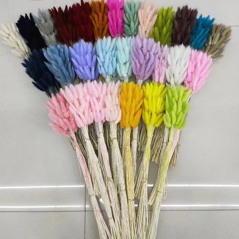 Dried Bunny Tails Natural Lagurus Ovatus Lamb Tails Home Wedding Decor Pampas Grass Dry Flowers Bunny Tails Grass