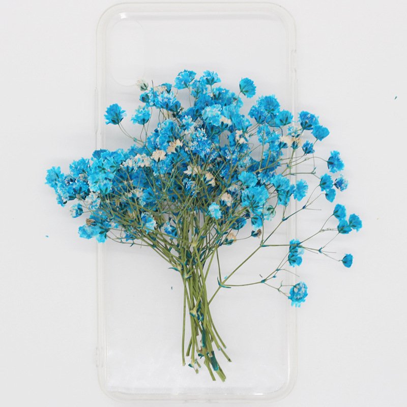 MNR1925 Gypsophila dried pressed flower for DIY scented candles