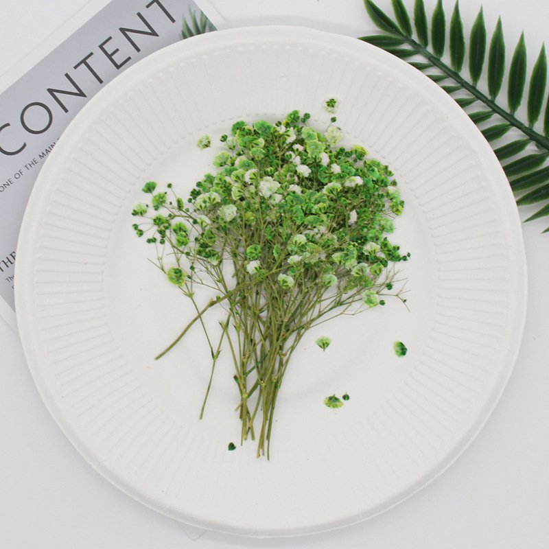 MNR1925 Gypsophila dried pressed flower for DIY scented candles