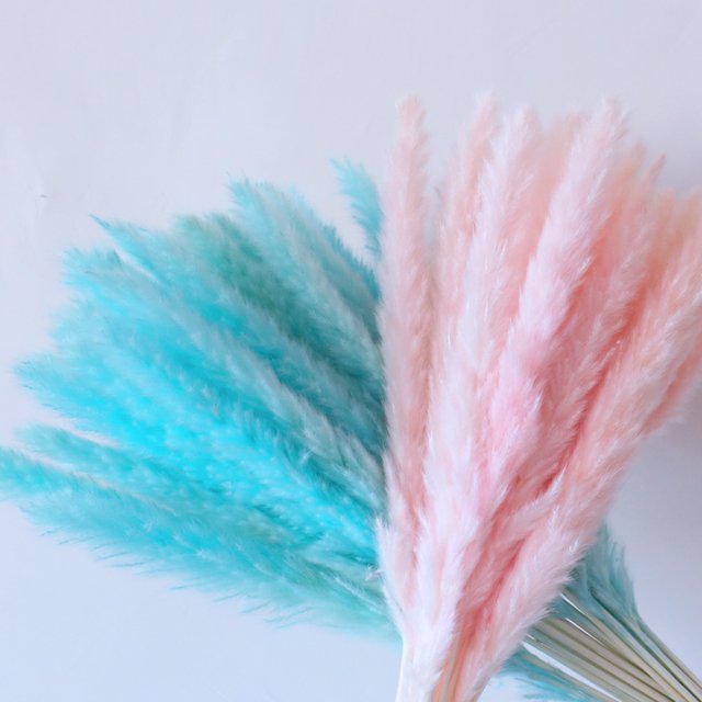 natural white pink reed small pampas real dry pampas grass for home wedding decorations