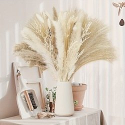 50pcs