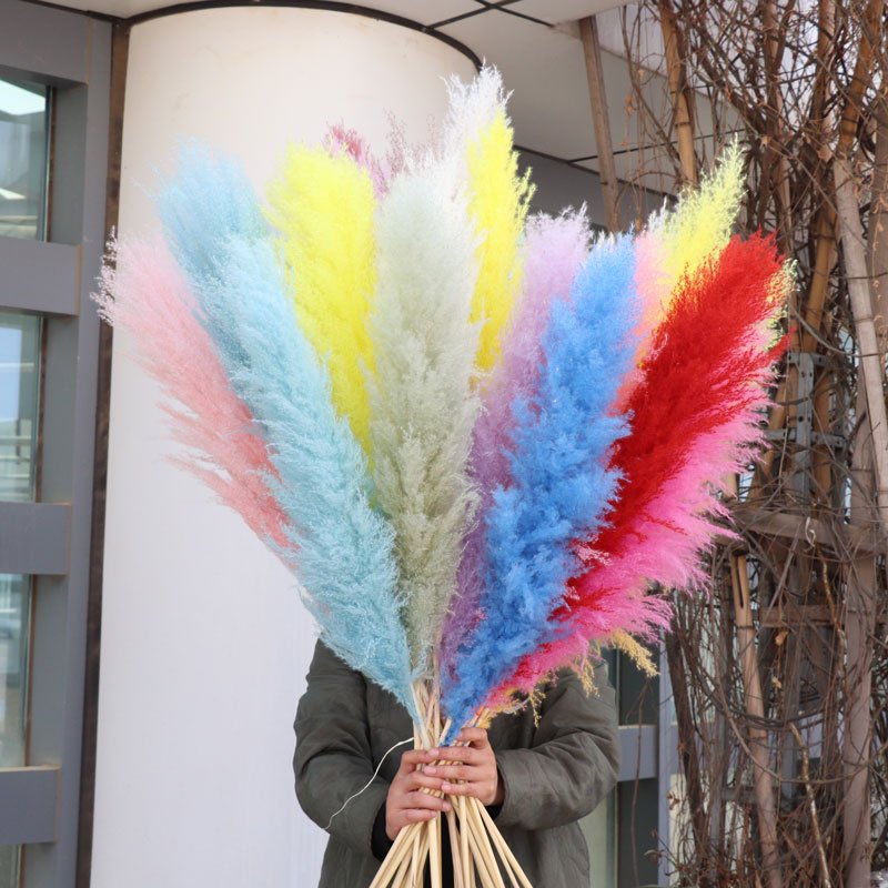 Hot Sale 100cm Large Pampas Grass Home Decoration Dried Flowers big Pampas Grass Reeds For Wedding Decoration