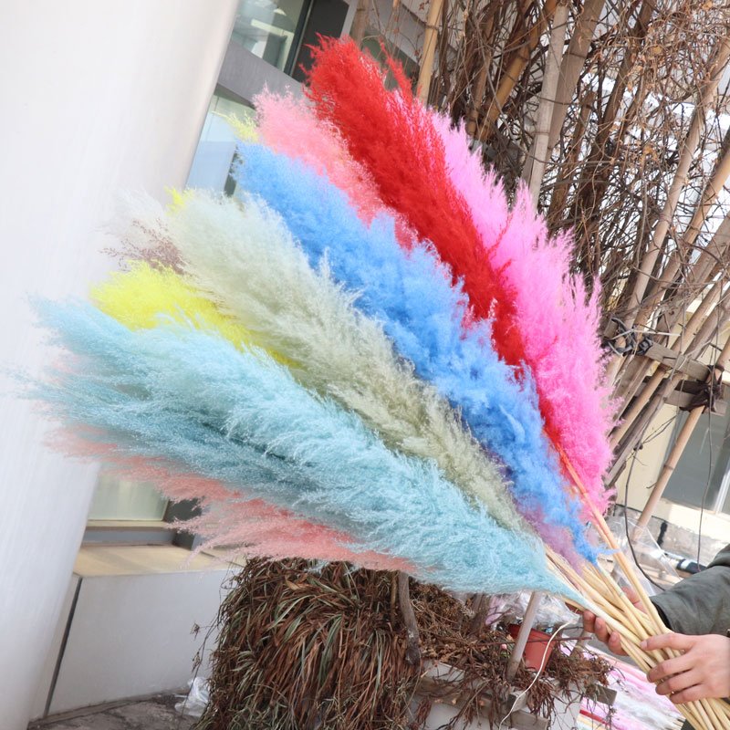 Hot Sale 100cm Large Pampas Grass Home Decoration Dried Flowers big Pampas Grass Reeds For Wedding Decoration