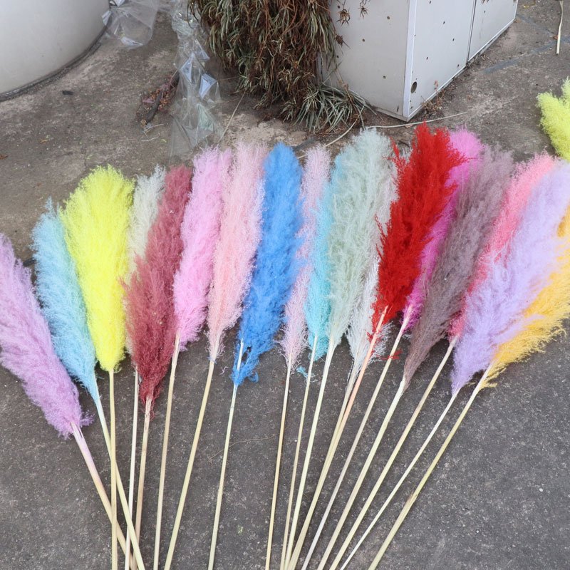 Hot Sale 100cm Large Pampas Grass Home Decoration Dried Flowers big Pampas Grass Reeds For Wedding Decoration
