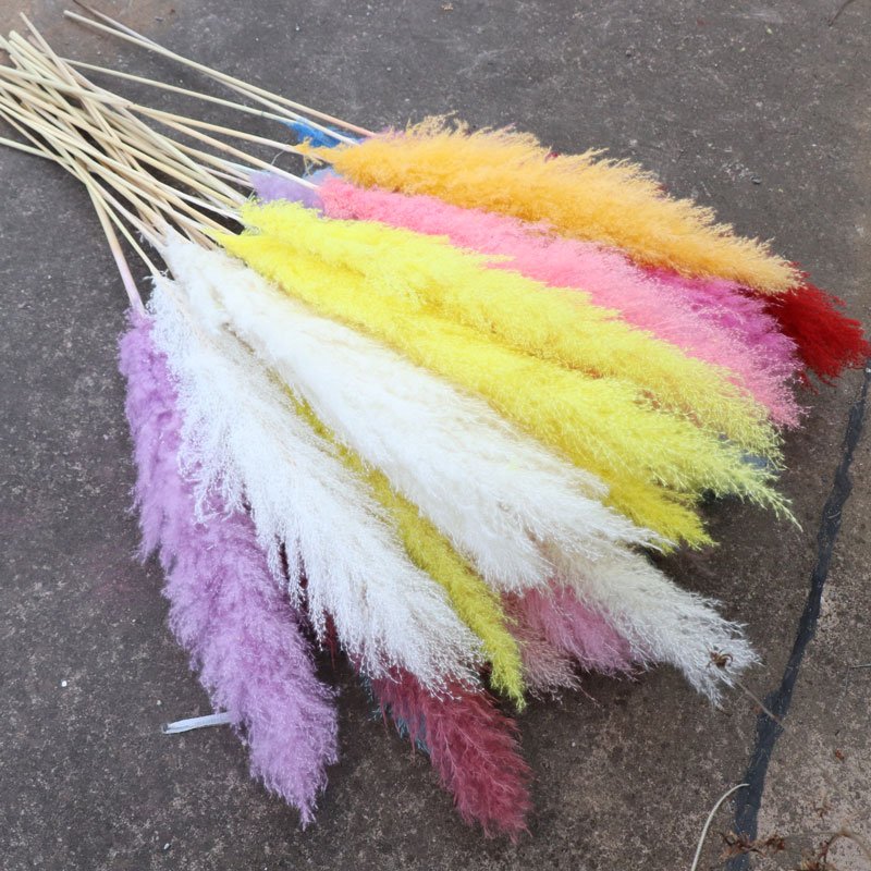 Hot Sale 100cm Large Pampas Grass Home Decoration Dried Flowers big Pampas Grass Reeds For Wedding Decoration