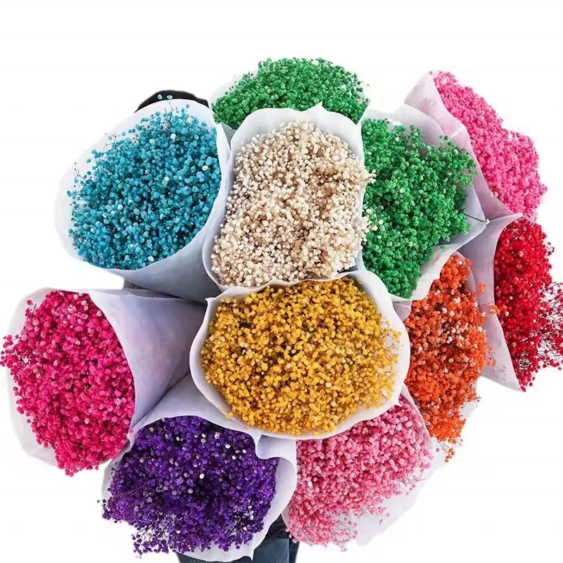 New Arrivals Baby Breath Flowers Bouquet Gift Dried Flowers And Plants For Wedding Or House Decoration
