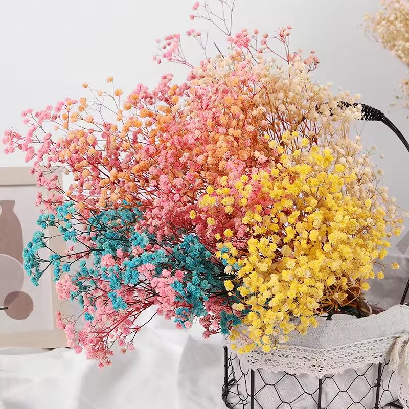 New Arrivals Baby Breath Flowers Bouquet Gift Dried Flowers And Plants For Wedding Or House Decoration