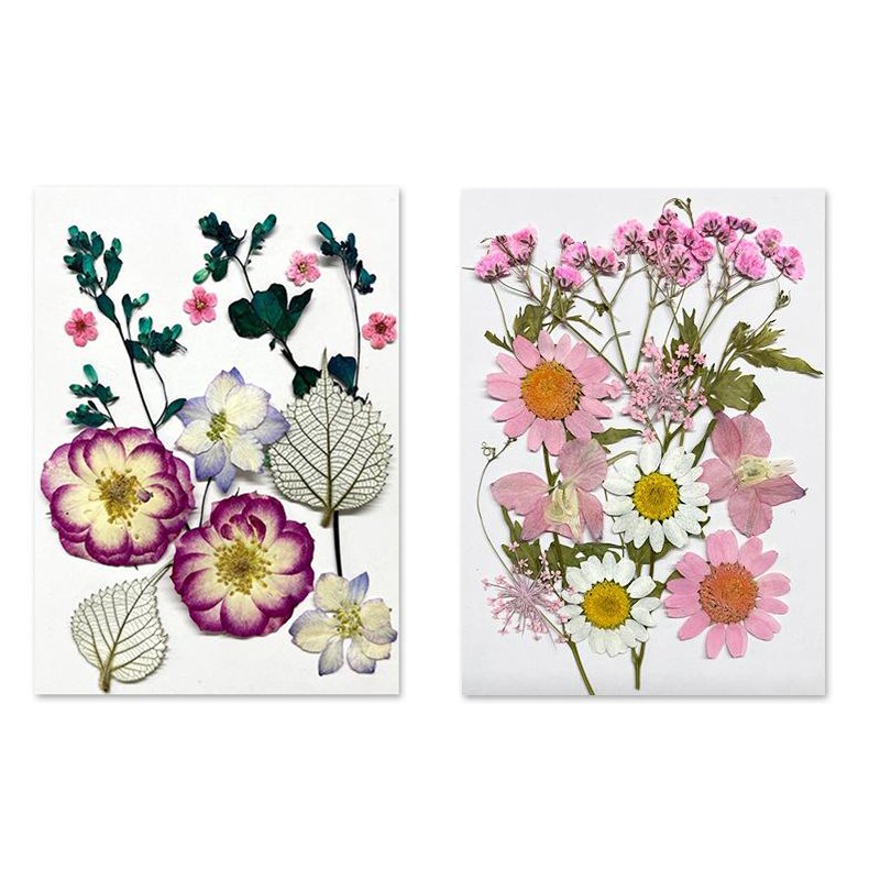 Dried Pressed Flowers for Resin Scrapbooking Crafts DIY Resin Jewelry Invitations Making