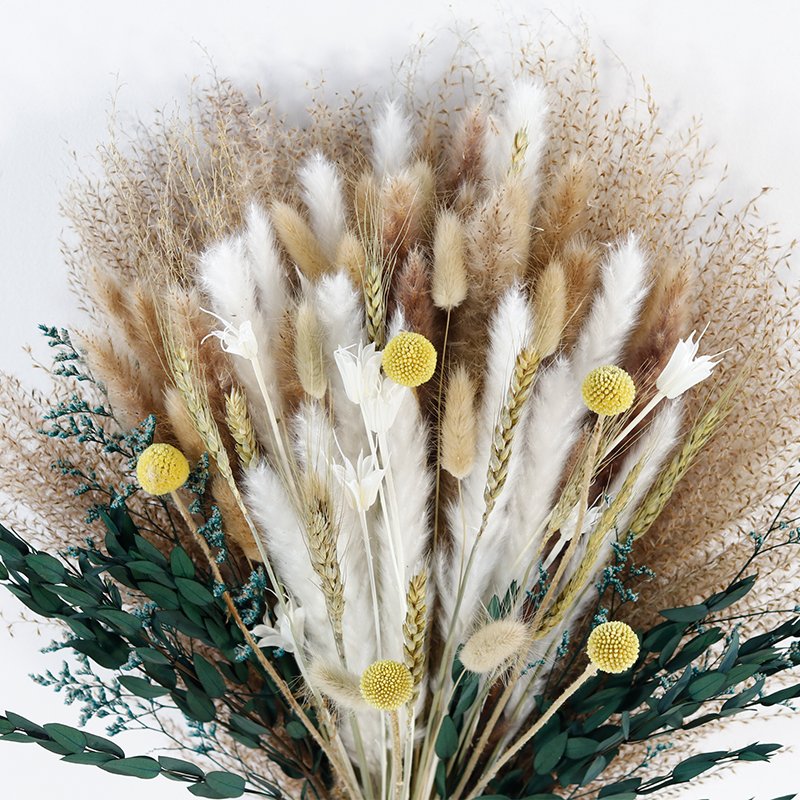 Love Bush Billy Buttons Wheat Eucalyptus Lagurus Ovatus Pampas Grass Dried Flowers Boho Wedding Home Decoration Decor