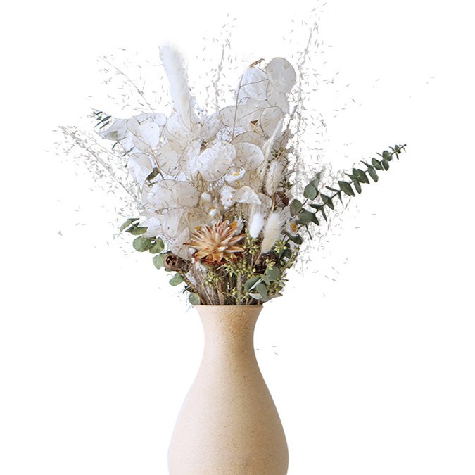 preserved Honesty dried flowers dry Lunaria annua natural dried lunaria for decoration
