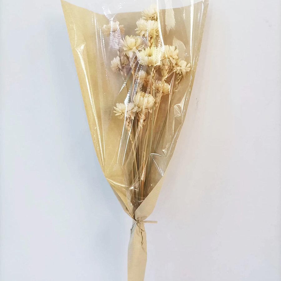 Natural Dried Flowers
