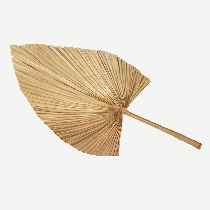 Hot Sale High Quality Dried Flower Bouquet Decorative Flowers Hand Fan Dried Palm Leaves