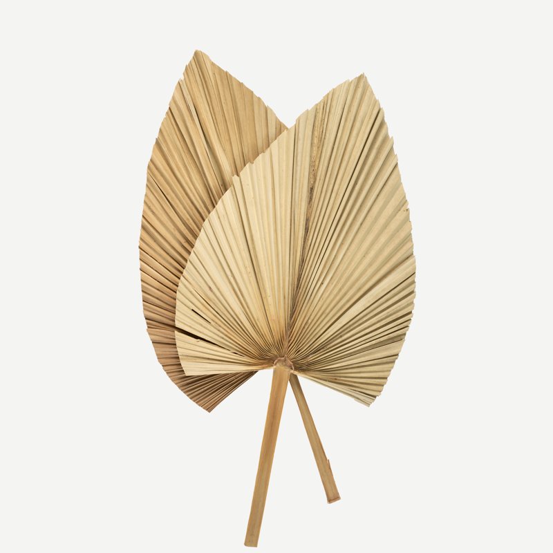 Hot Sale High Quality Dried Flower Bouquet Decorative Flowers Hand Fan Dried Palm Leaves