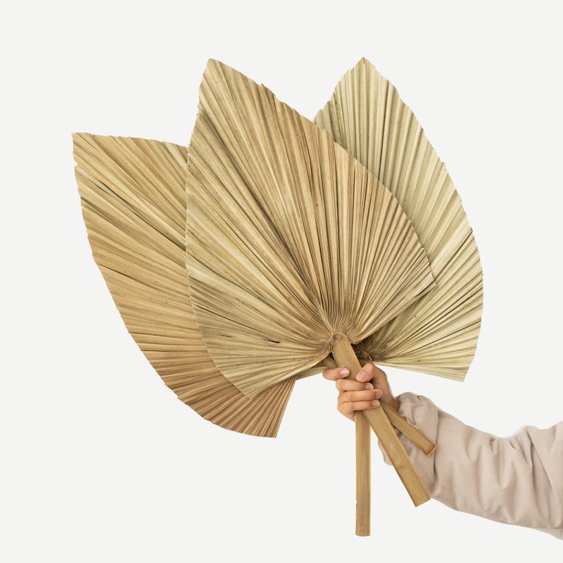 Hot Sale High Quality Dried Flower Bouquet Decorative Flowers Hand Fan Dried Palm Leaves