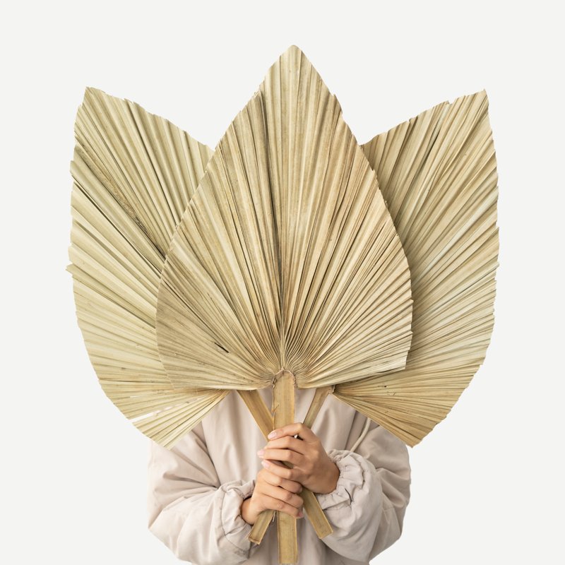 Hot Sale High Quality Dried Flower Bouquet Decorative Flowers Hand Fan Dried Palm Leaves