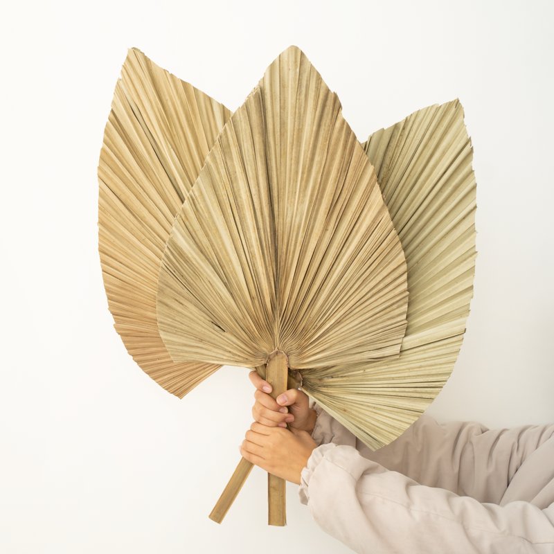 Hot Sale High Quality Dried Flower Bouquet Decorative Flowers Hand Fan Dried Palm Leaves