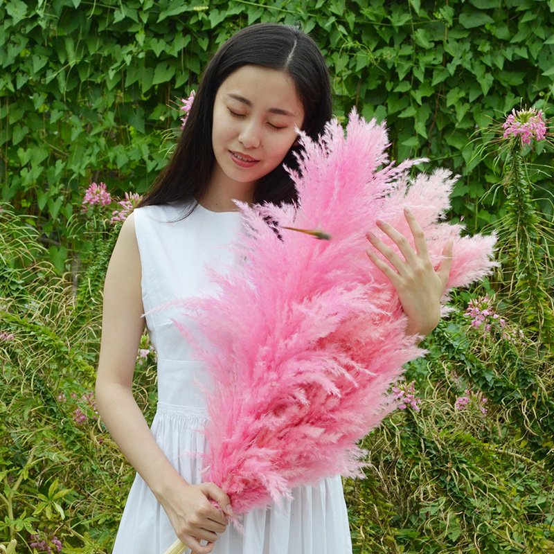 G28 Factory Rustic Decor Wedding Arrangements Large Pampas Naturel Home decoration Tall Fluffy Natural Dried Pampas Grass