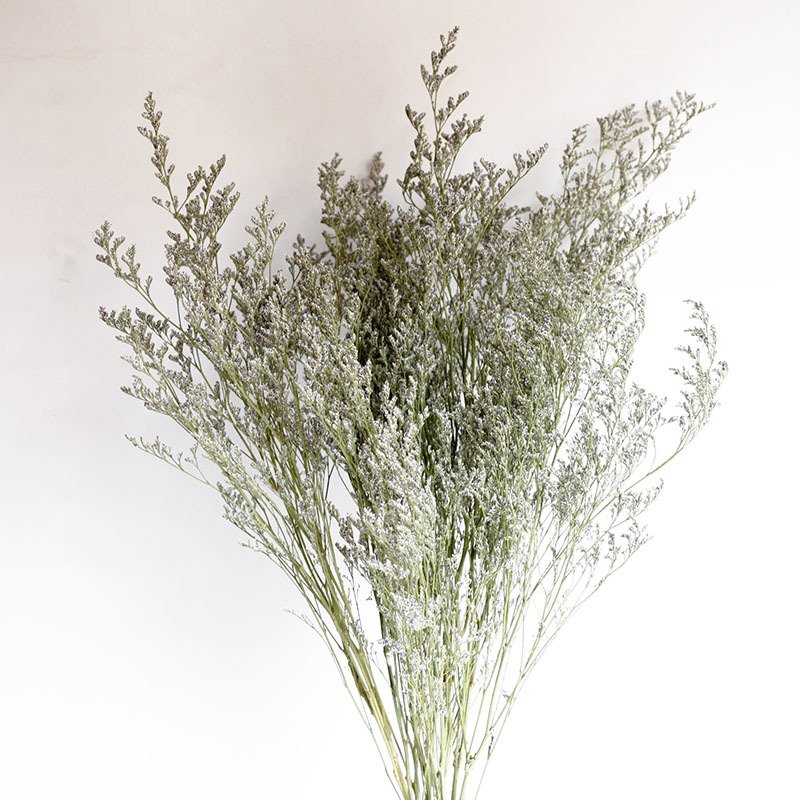 Factory Wholesale dried caspea Natural Dried Lover's grass for wedding home party decor
