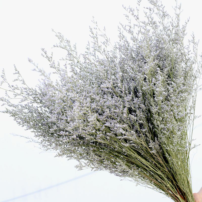 Factory Wholesale dried caspea Natural Dried Lover's grass for wedding home party decor