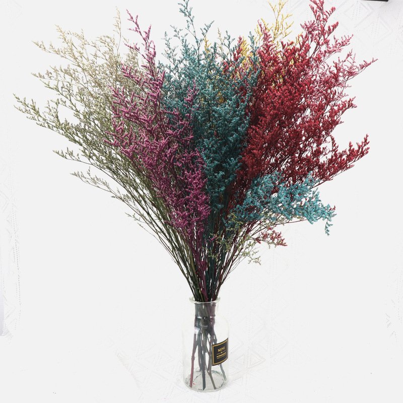 Factory Wholesale dried caspea Natural Dried Lover's grass for wedding home party decor
