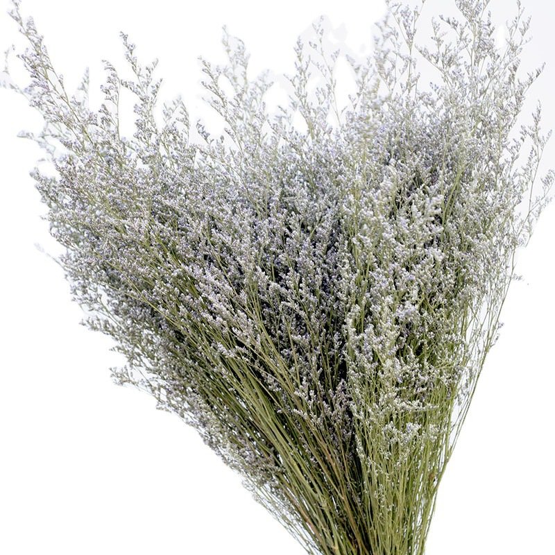 Factory Wholesale dried caspea Natural Dried Lover's grass for wedding home party decor